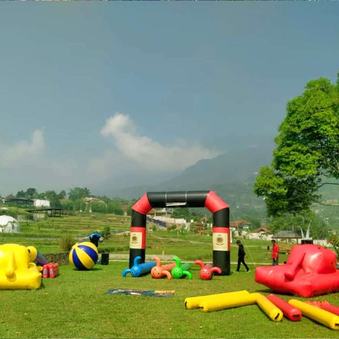 Giant Inflatable Slide
